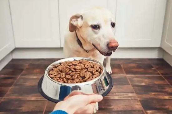 幼犬粮和成犬粮的区别