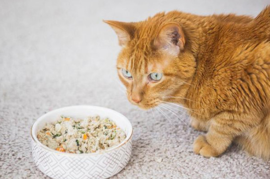 猫咪一天吃几个冻鹌鹑好