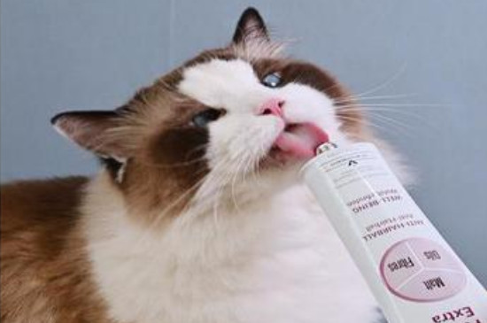 猫吃了化毛膏是拉出来还是吐