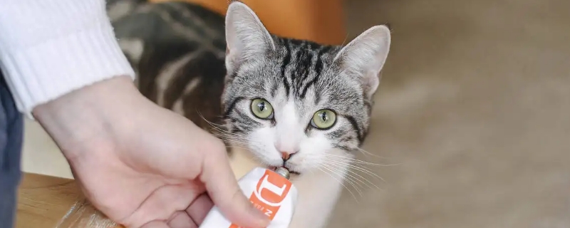 猫吃了化毛膏是拉出来还是吐