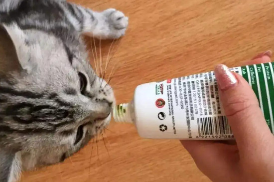 猫吃了化毛膏是拉出来还是吐