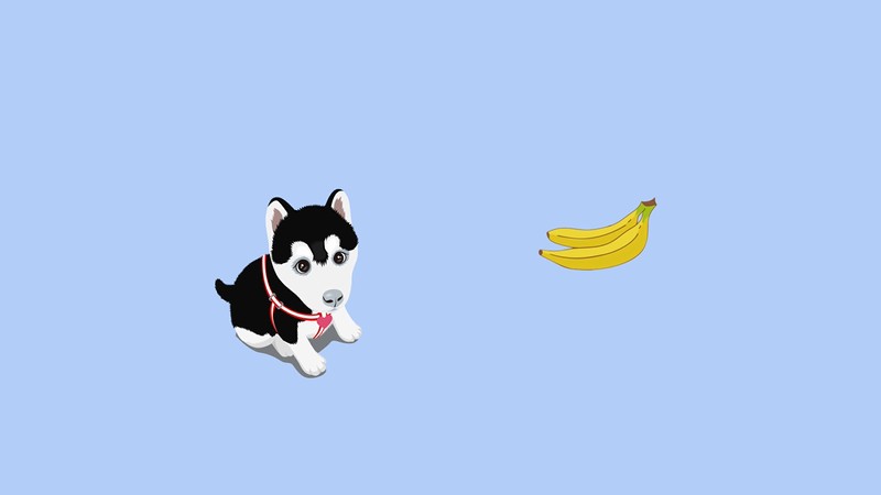 狗狗能吃香蕉吗