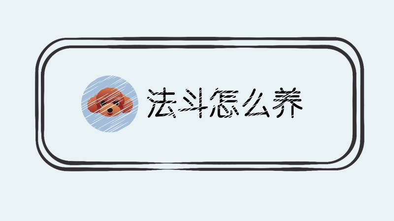 法斗怎么养