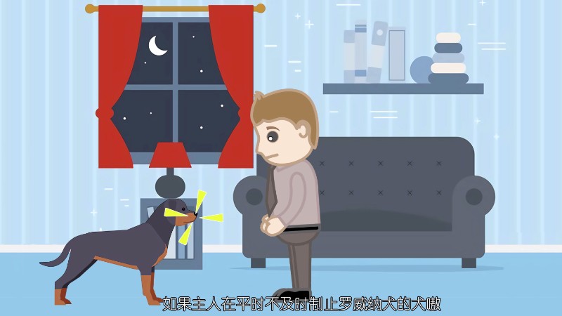 养罗威纳犬的七大禁忌