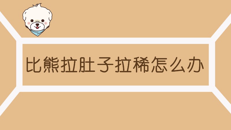 比熊拉肚子拉稀怎么办