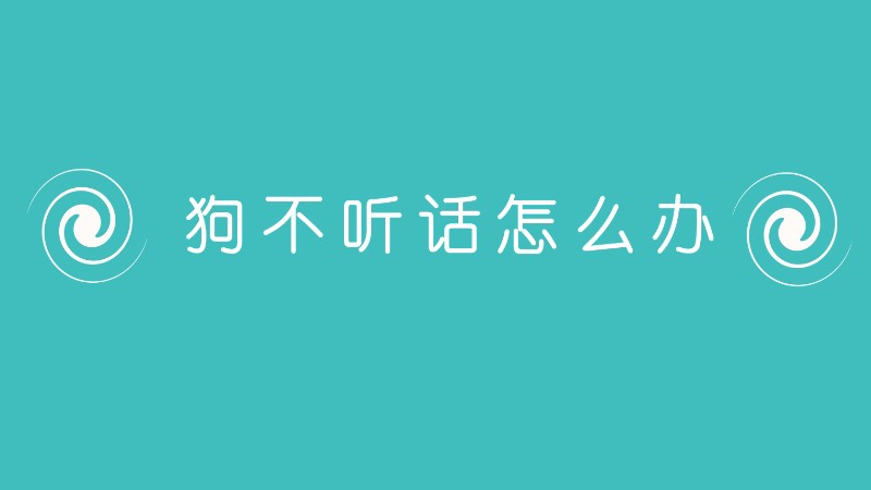 狗不听话怎么办