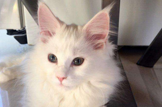 pg电PG电子游戏- PG电子平台- PG电子官方网站子麻将胡了下载