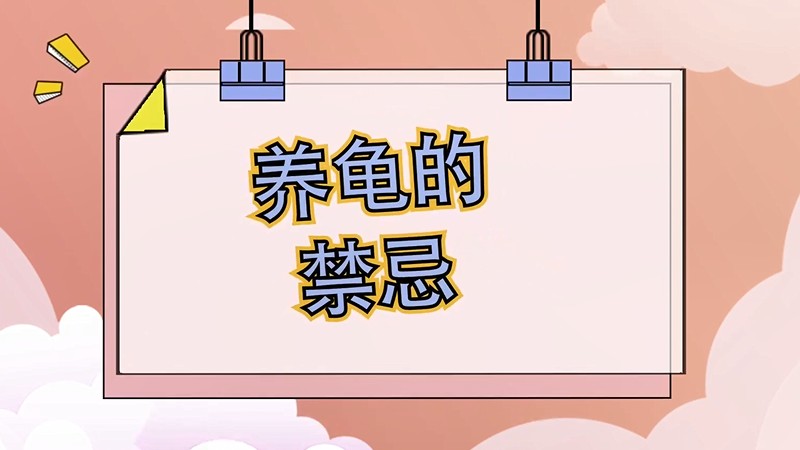 养龟的禁忌