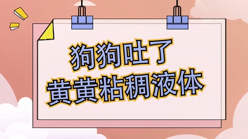 狗狗吐了黄黄粘稠液体