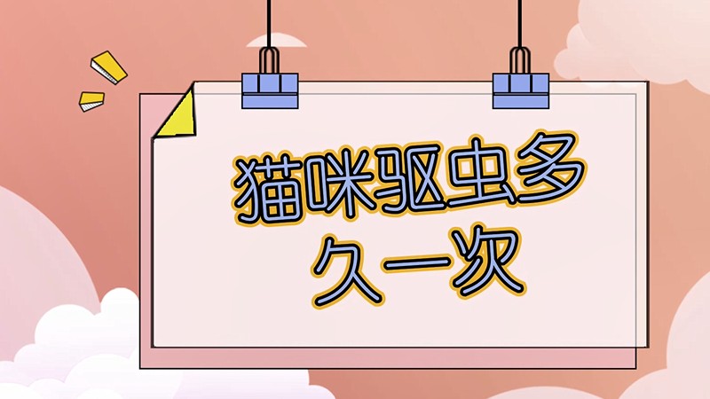 猫咪驱虫多久一次