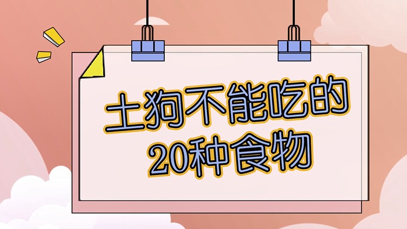 土狗不能吃的20种食物