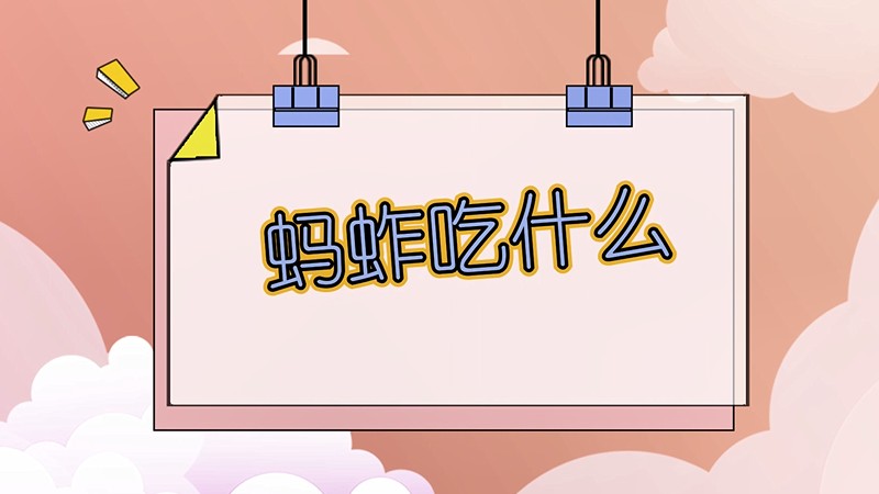 蚂蚱吃什么