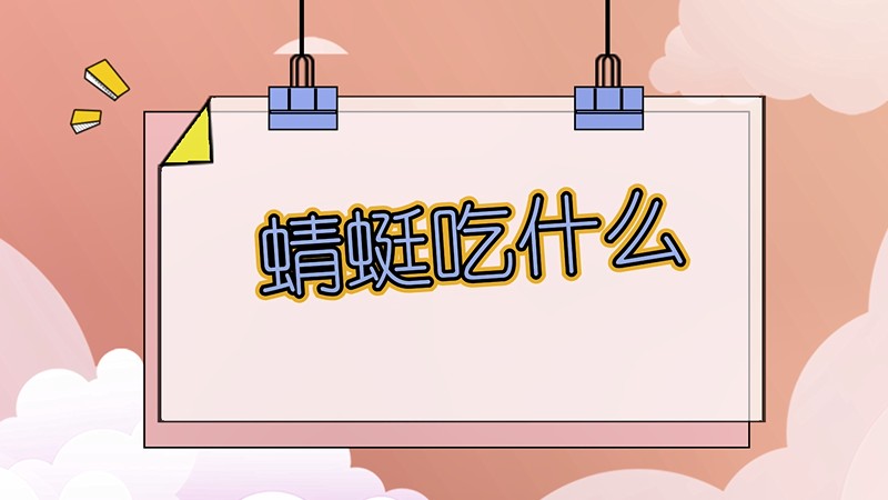 蜻蜓吃什么