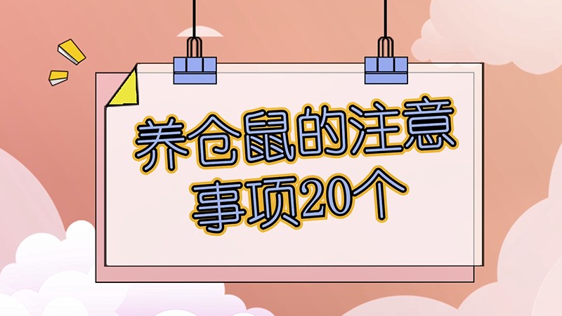 养仓鼠的注意事项20个