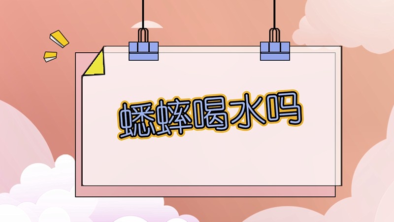 蟋蟀喝水吗