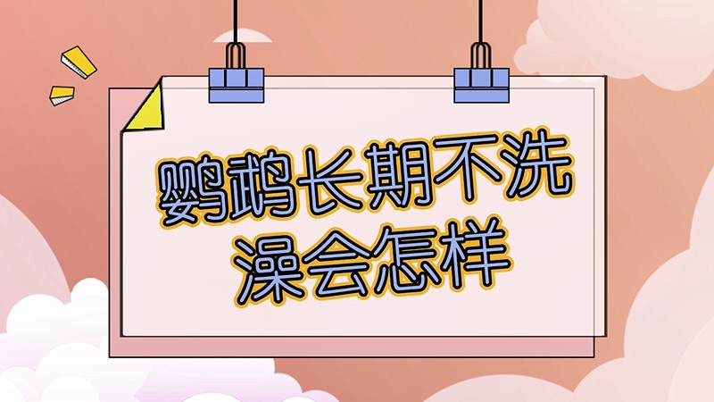 鹦鹉长期不洗澡会怎样