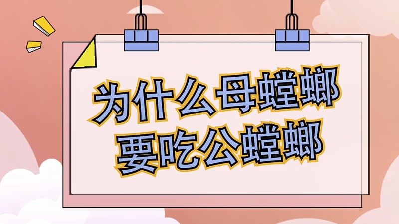 为什么母螳螂要吃公螳螂