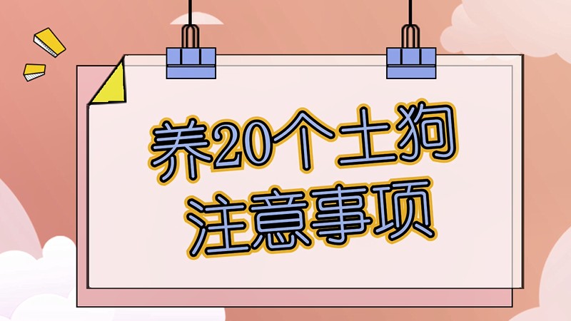 养20个土狗注意事项