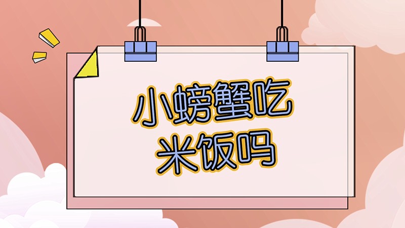 小螃蟹吃米饭吗