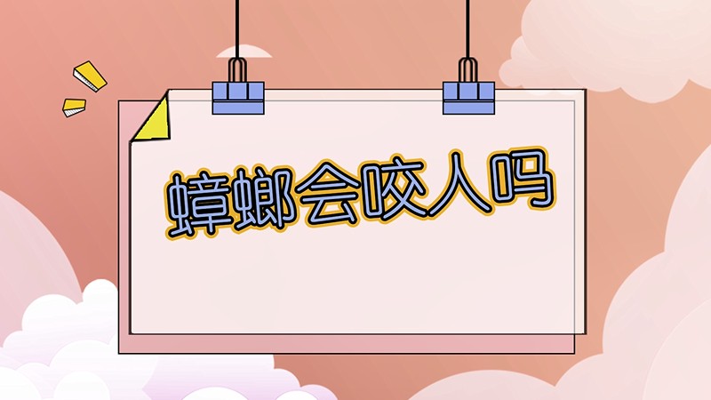 蟑螂会咬人吗