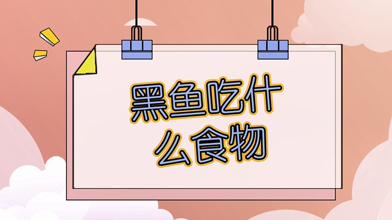 黑鱼吃什么食物