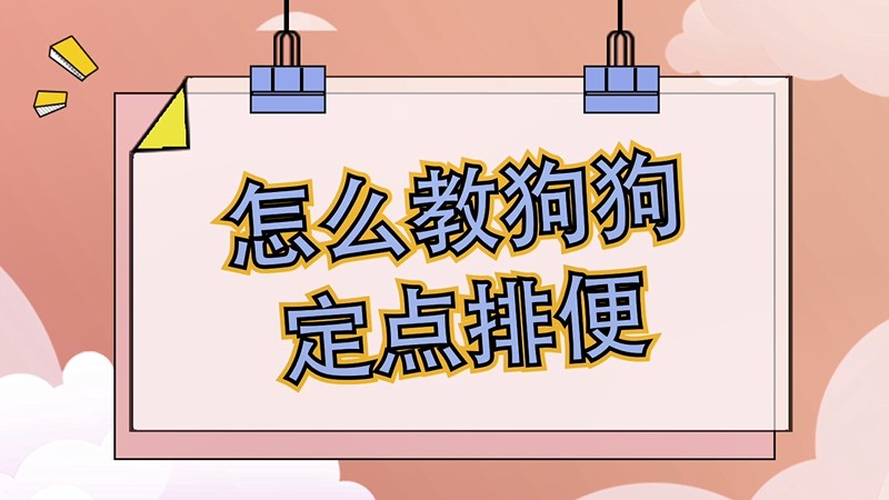 怎么教狗狗定点排便