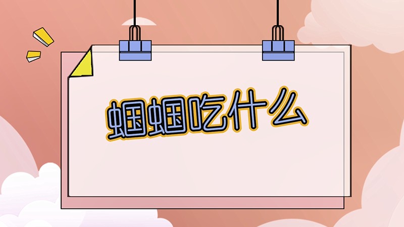 蝈蝈吃什么