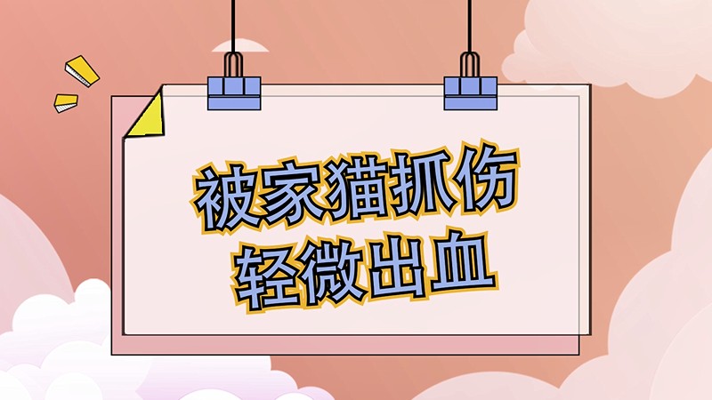 被家猫抓伤轻微出血