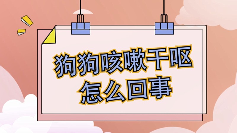 狗狗咳嗽干呕怎么回事