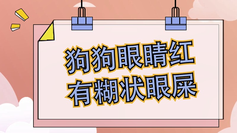 狗狗眼睛红有糊状眼屎怎么回事