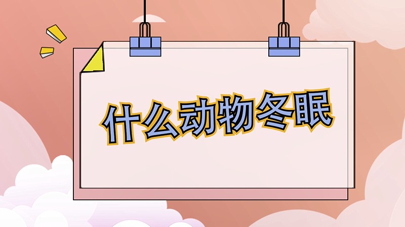 什么动物冬眠