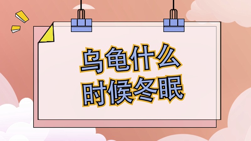 乌龟什么时候冬眠