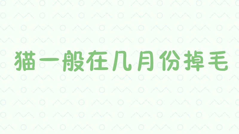 猫一般在几月份掉毛