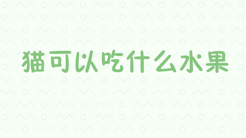 猫可以吃什么水果