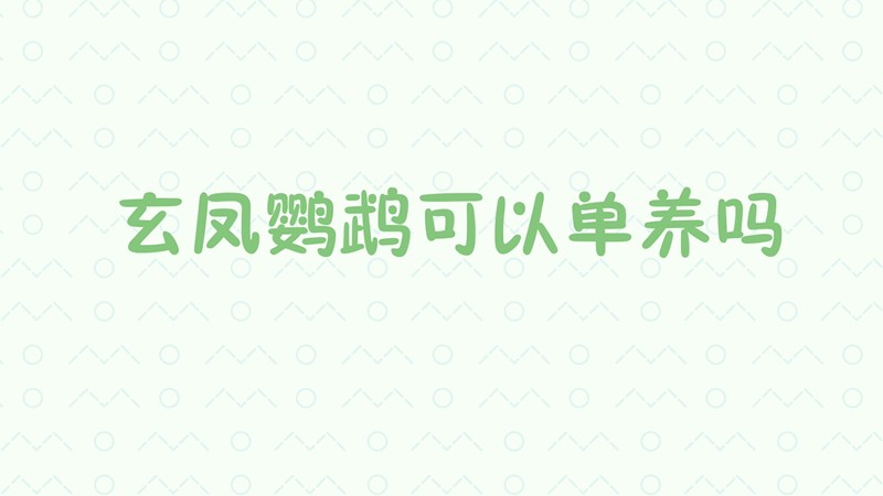玄凤鹦鹉可以单养吗