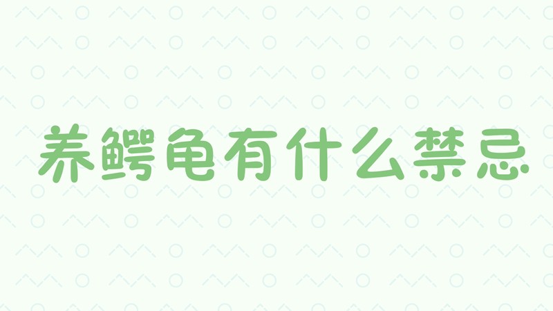 养鳄龟有什么禁忌