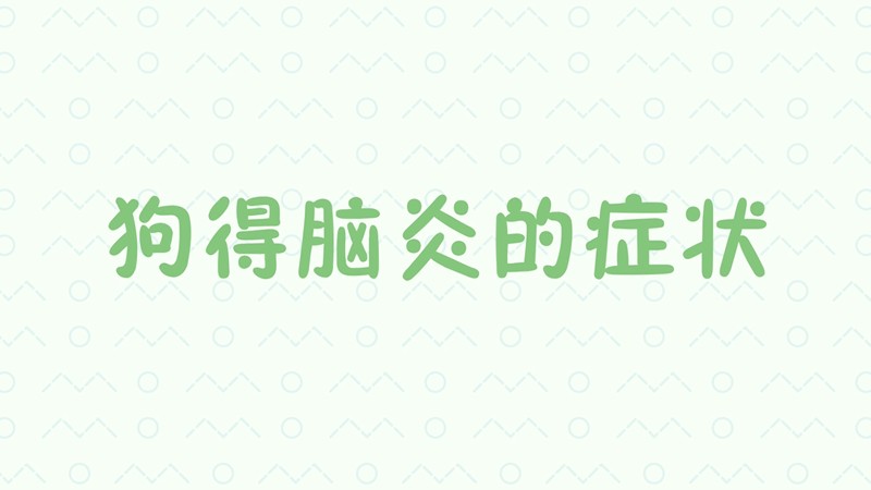 狗得脑炎的症状