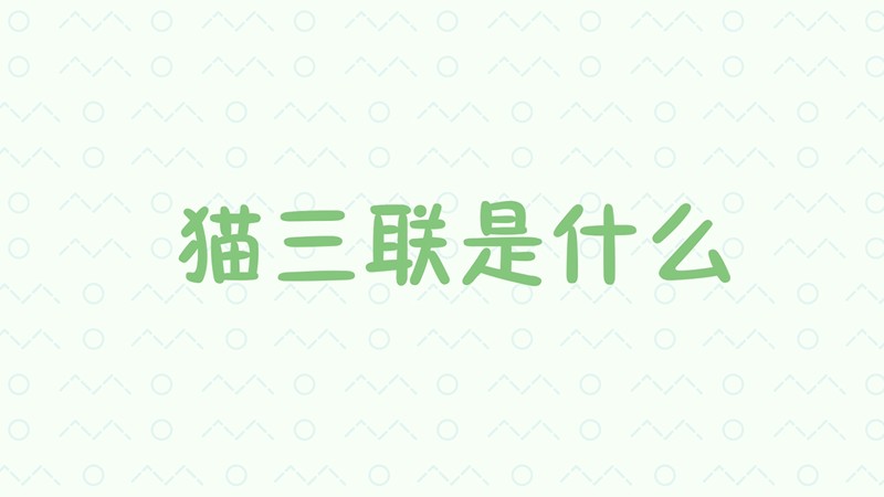 猫三联是什么