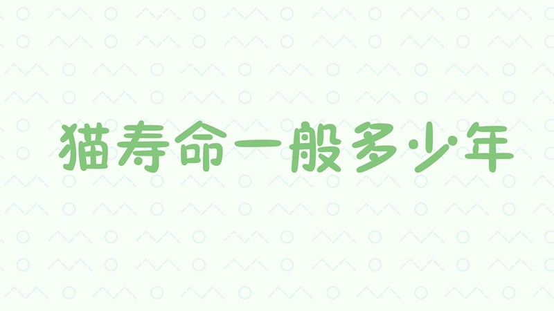 猫寿命一般多少年