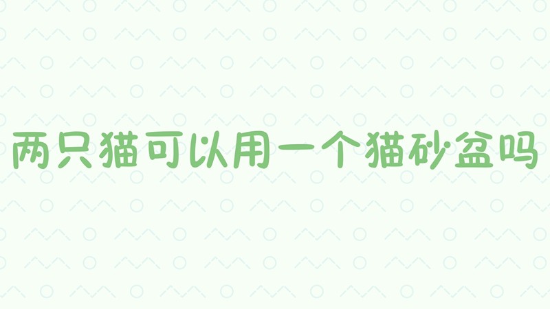 两只猫可以用一个猫砂盆吗