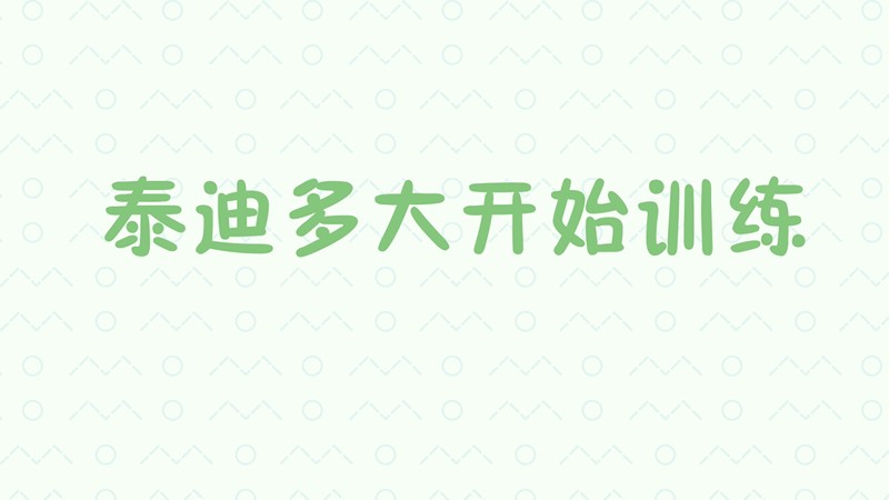 泰迪多大开始训练