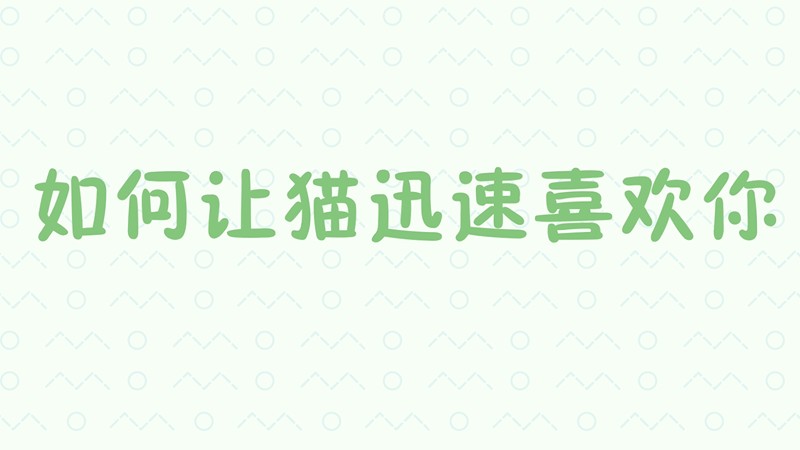 如何让猫迅速喜欢你