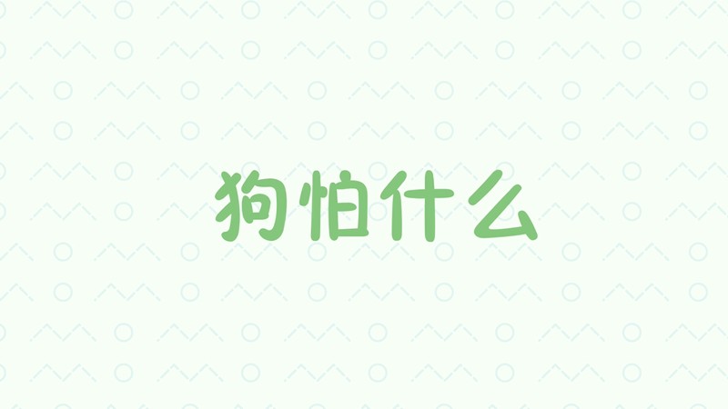 狗怕什么
