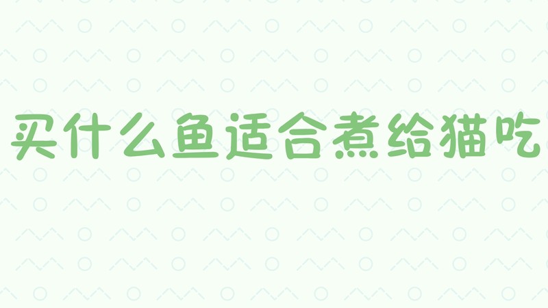买什么鱼适合煮给猫吃