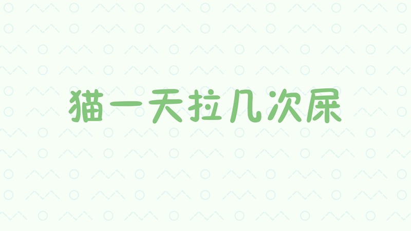 猫一天拉几次屎