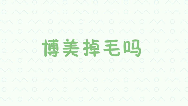 博美掉毛吗