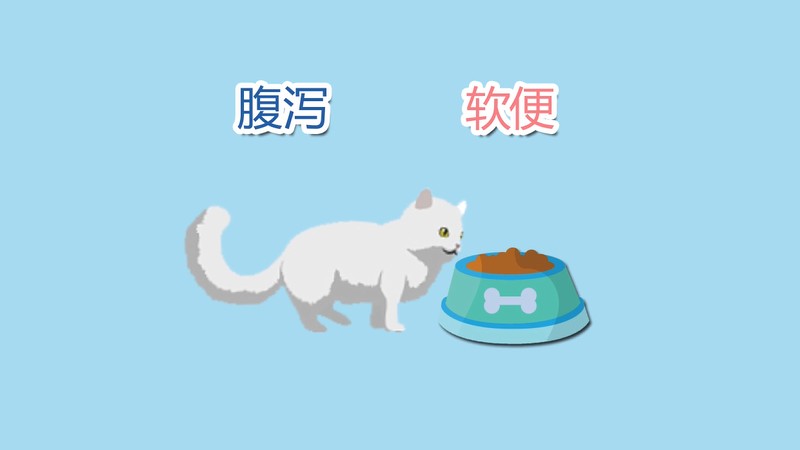 猫能吃狗粮吗