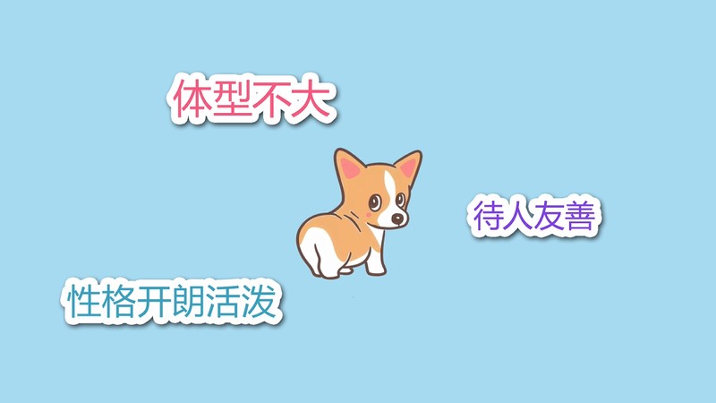 柯基犬的优缺点