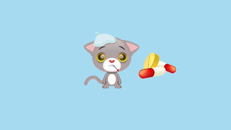 猫咪感冒吃什么药