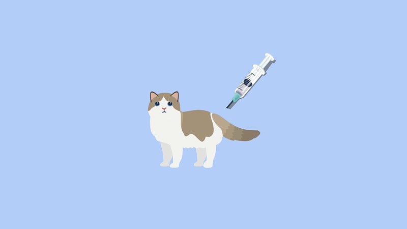 猫疫苗多久打一次